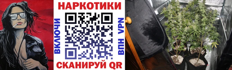 Наркотические вещества Бор Бошки Шишки  COCAIN  Амфетамин  ГЕРОИН  ГАШ  СК  Меф мяу мяу 