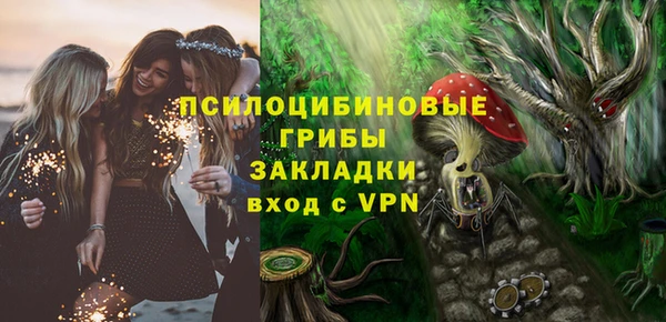 Альфа ПВП Аркадак