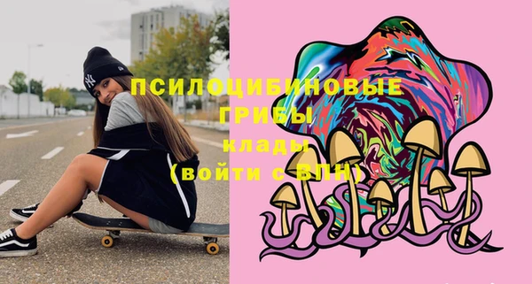 шишки Арсеньев