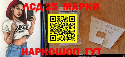СК Апшеронск
