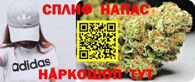 СК Апшеронск