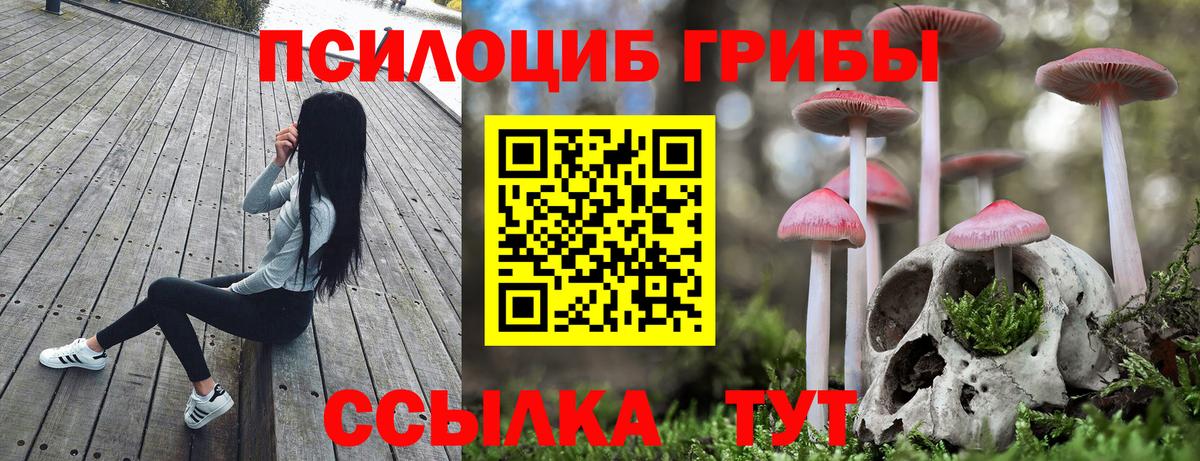 купить закладку  Псилоцибиновые грибы Cubensis  Вход с VPN  Галлюциногенные грибы прущие грибы  Бор 
